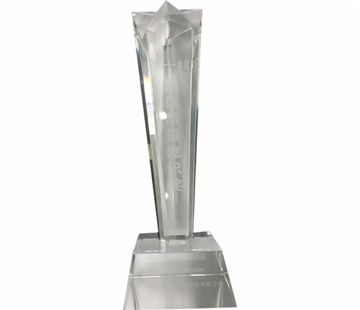 2011 Edan Best Quality Awareness Award